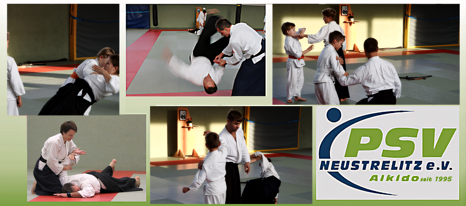 Traditionelles Aikido - Kampfkunst in Neustrelitz -  Training für ALLE ab 6 Jahre