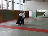Aikido Lehrgang am 07.09.2019 in Neustrelitz