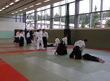 Aikido Lehrgang am 04.11.2017 in Neustrelitz