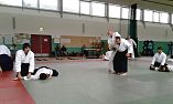 Aikido Lehrgang am 05.11.2016 in Neustrelitz