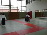 Aikido Lehrgang am 22.03.2014 in Neustrelitz